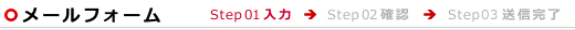 メールフォーム入力